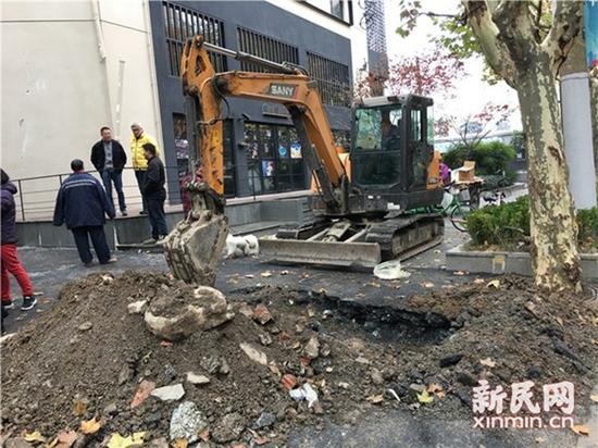 圖片說明：挖掘機(jī)現(xiàn)場作業(yè) 圖片均為新民晚報(bào)新民網(wǎng)陳浩攝